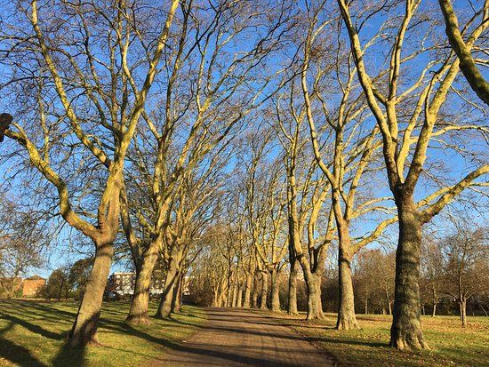 グラッドストーン・パーク